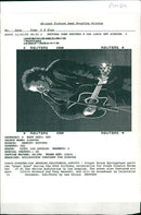 Bruce Springsteen American singer-songwriter. - Vintage Photograph