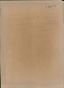 Bruce Springsteen American singer-songwriter. - Vintage Photograph