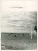 to Falaise. - Vintage Photograph