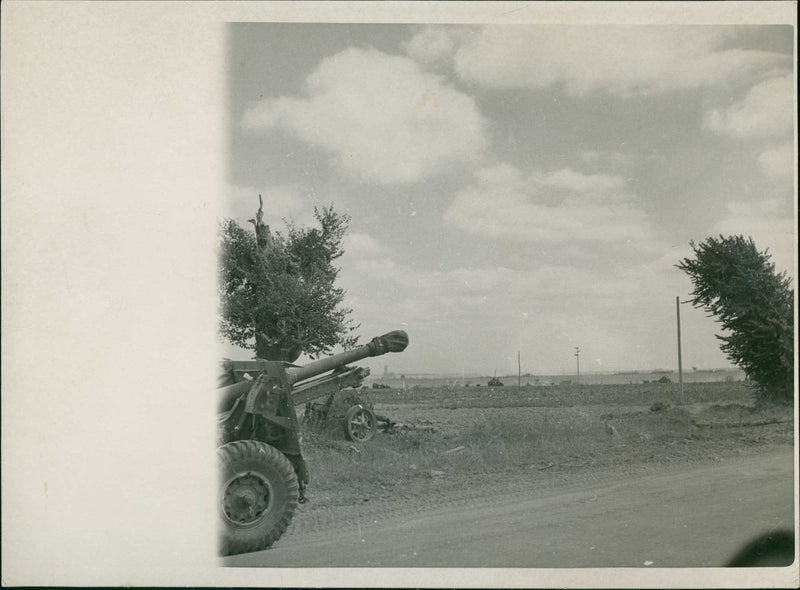 British and Canadian Troops - Vintage Photograph