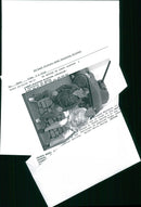 Two US veterans. - Vintage Photograph