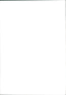 Germany War France DDay 1944 - Vintage Photograph