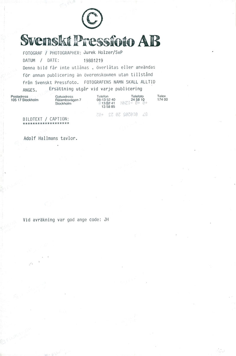 Adolf Hallman, artist / writer - Vintage Photograph