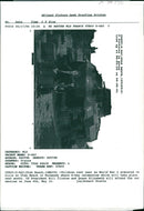 Germany War France D Day - Vintage Photograph