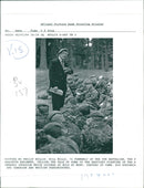 Germany War France D Day - Vintage Photograph