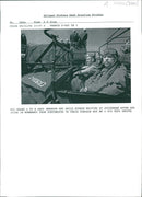 andy smerdon and david strokes - Vintage Photograph