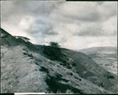 Coal Wales - Vintage Photograph