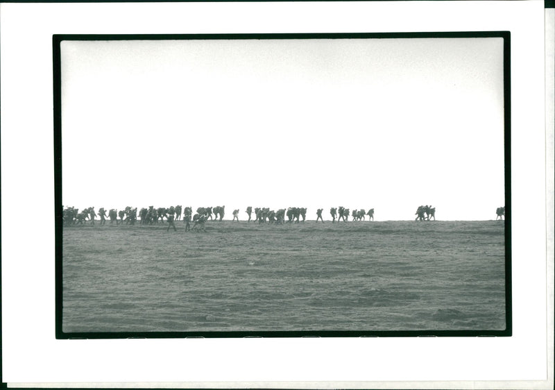 Teton Expeditions - Vintage Photograph