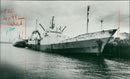 Requisitioned trawlers refitting. - Vintage Photograph