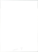 Extra security at aintree racecourse with the threat of animals right acrivist. - Vintage Photograph