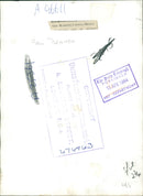 Humberto de Alencar Castelo Branco - Vintage Photograph