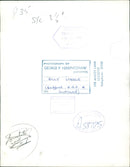 William Steele Rugby union - Vintage Photograph