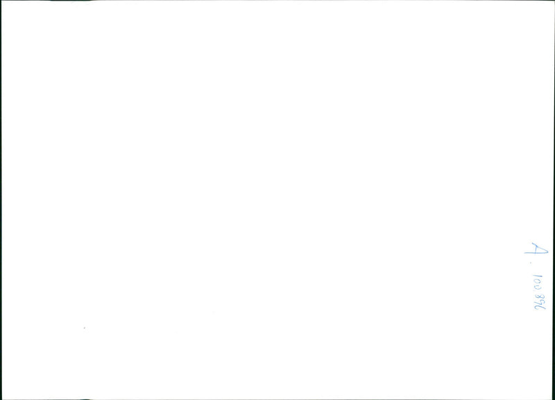 Dog: Tammy and Rowena Haley - Vintage Photograph