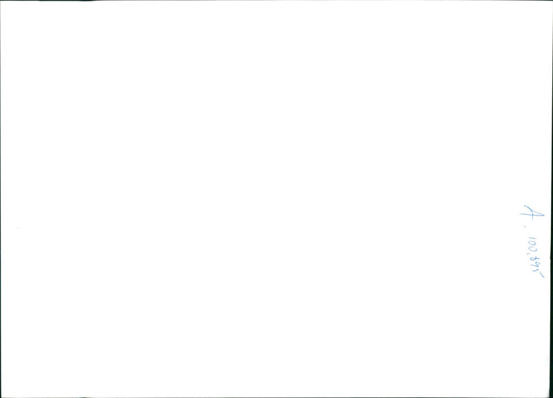 Dog: Sam - Vintage Photograph