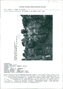 Dwight D. Eisenhower - Vintage Photograph