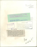 queen elizabeth by Richard Stone British painter - Vintage Photograph