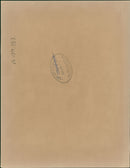 American football in the United States. - Vintage Photograph