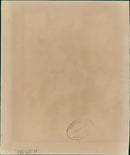 American football in the United States. - Vintage Photograph