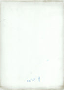 American football in the United States. - Vintage Photograph