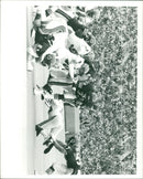 American football in the United States. - Vintage Photograph