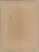 Mick Jagger singing his "Nick Jagger Live" concert - Vintage Photograph