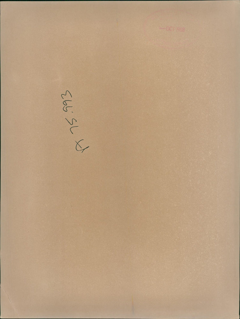 Mick Jagger singing his "Nick Jagger Live" concert - Vintage Photograph