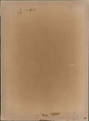 Netball And Basketball - Vintage Photograph