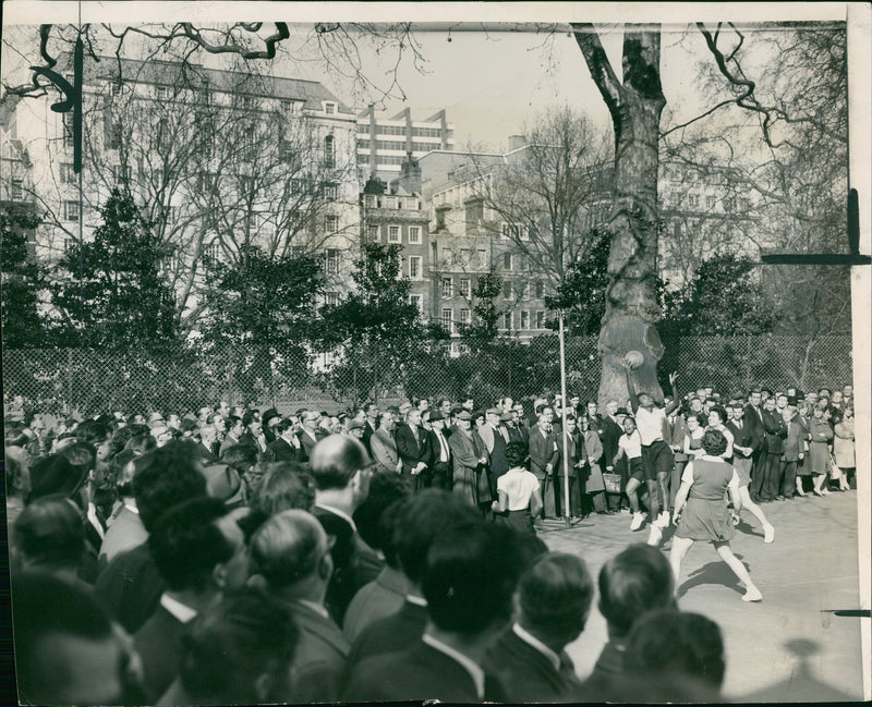 Netball And Basketball - Vintage Photograph