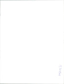 Netball And Basketball - Vintage Photograph