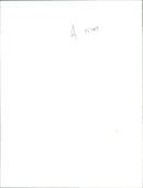 Netball And Basketball - Vintage Photograph