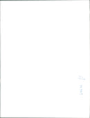 Netball And Basketball - Vintage Photograph