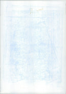 Netball And Basketball - Vintage Photograph