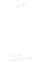 Netball And Basketball - Vintage Photograph