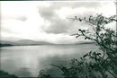 Loch Lomond Loch in Scotland - Vintage Photograph