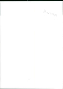 Albatross - Vintage Photograph