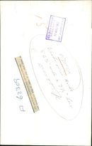 Albatross - Vintage Photograph