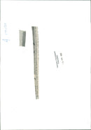 John Grisham - Vintage Photograph