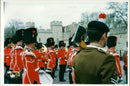 Royal Regiment of Fusiliers - Vintage Photograph