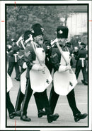 Royal Regiment of Fusiliers - Vintage Photograph
