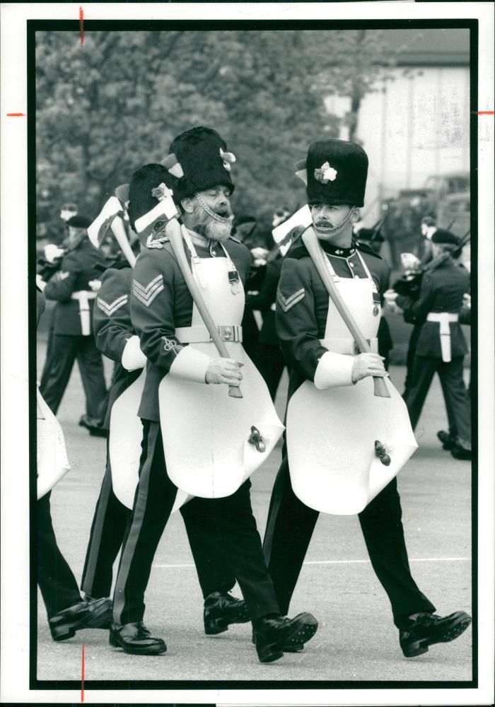 Royal Regiment of Fusiliers - Vintage Photograph