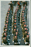 Royal Regiment of Fusiliers - Vintage Photograph