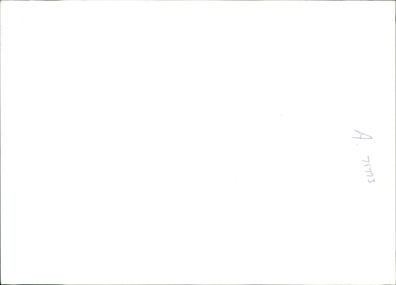 Mike Jagger with the Rolling stones. - Vintage Photograph