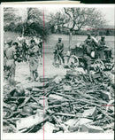 Germans surrender. - Vintage Photograph