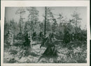 German War Russia - Vintage Photograph