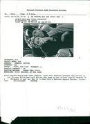 Madonna American singer-songwriter. - Vintage Photograph