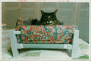 couch potato cat - Vintage Photograph