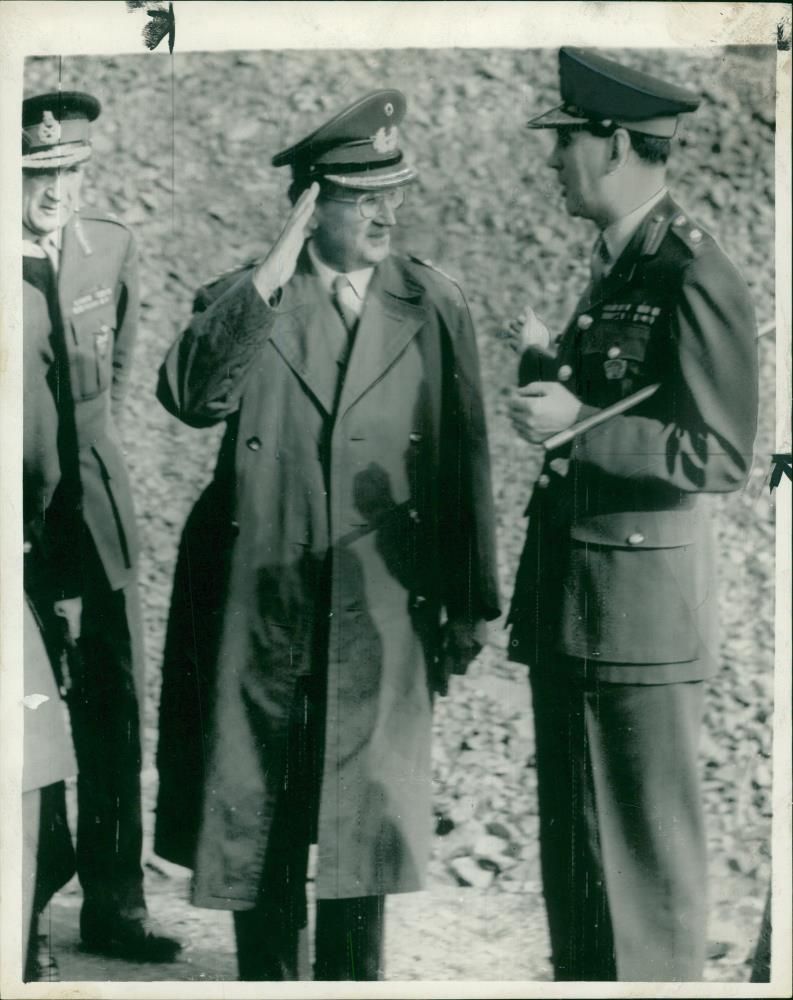 Hans Speidel and sir cecil - Vintage Photograph