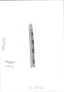 peop;es liberation army soldiers - Vintage Photograph