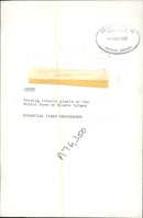 Tobacco - Vintage Photograph