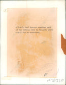 Tobacco - Vintage Photograph